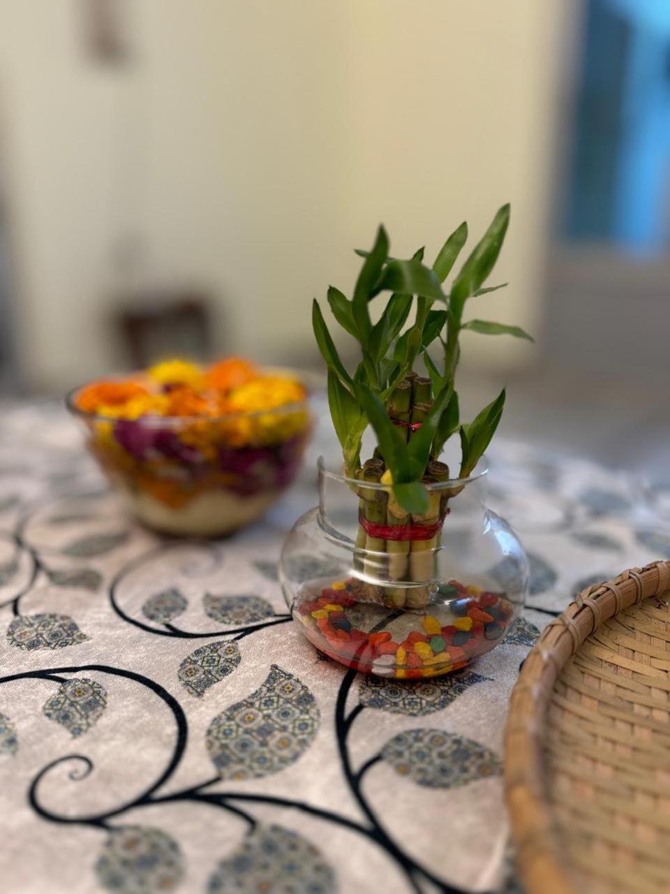 Grand Bungalow 5 Min From Prayagraj Junction Экстерьер фото